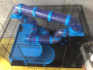 Knaagdier kot, Moins de 60 cm, Cage, Hamster, Utilisé