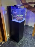 Aquarium 60 L - Blue Marine, Dieren en Toebehoren, Vissen | Aquaria en Toebehoren, Ophalen, Gebruikt, Leeg aquarium