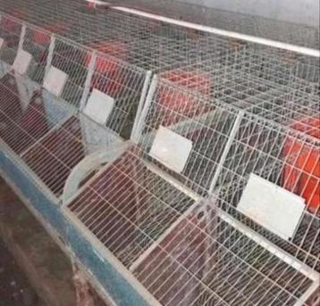 Hok voor konijnen te koop beschikbaar voor biedingen
