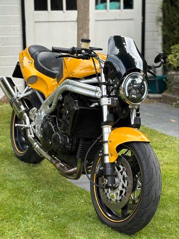 TRIUMPH DAYTONA T-595 (bj 1997) beschikbaar voor biedingen