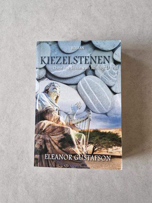 Kiezelstenen - Eleanor Gustafson, Livres, Romans historiques, Enlèvement ou Envoi