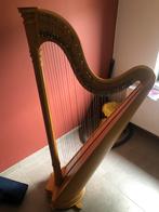Salvi harp ana, Muziek en Instrumenten, Snaarinstrumenten | Harpen, Ophalen