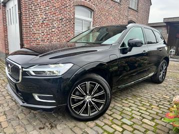 Volvo XC60 T8 Inscription/Massage/360/H&K/ACC/Nappa leder beschikbaar voor biedingen