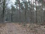 Bosgrond te koop in Oudsbergen, Immo, Gronden en Bouwgronden