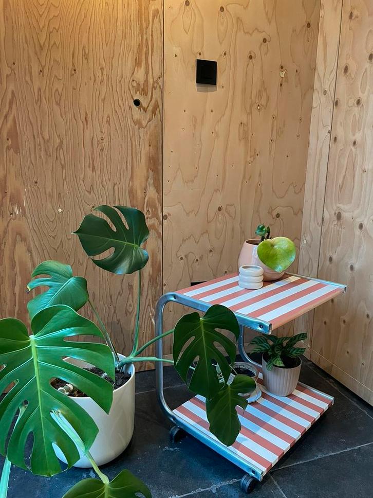 Vintage rekje op wielen, Huis en Inrichting, Tafels | Sidetables, Zo goed als nieuw, 25 tot 50 cm, Minder dan 50 cm, Rechthoekig