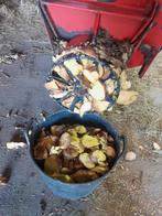 Voederaardappelen eventueel gesneden, Ophalen