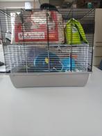 2 knaagdierkooien, Dieren en Toebehoren, Kooi, Gebruikt, Ophalen, Minder dan 60 cm