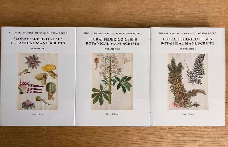 Full set - Flora: Federico Cesi’s Botanical Manuscripts, Livres, Art & Culture | Arts plastiques, Comme neuf, Enlèvement ou Envoi