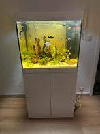 Aquarium juwel lido 200, Enlèvement, Comme neuf