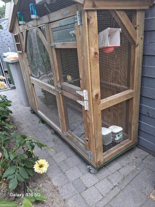 Voliere S2, Dieren en Toebehoren, Vogels | Hokken en Kooien, Gebruikt, Volière, Hout, Ophalen