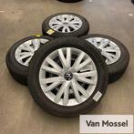 Golf 8 Nexen Winguard Sport 2 205/55/R16 91H, Auto-onderdelen, Gebruikt, 16 inch, Banden en Velgen, Personenwagen