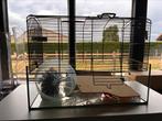 Hamster hok en alle andere benodigdheden, Dieren en Toebehoren, Ophalen, Zo goed als nieuw