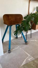 Vintage bok, hele mooie kleuren, Sport en Fitness, Turnen, Ophalen, Gebruikt, Blauw, Materiaal