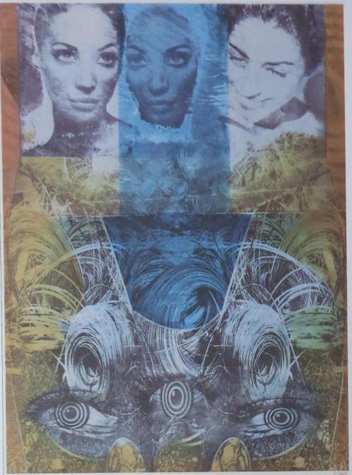 POL MARA / IRON VIEUW / KLEURZEEFDRUK / 101x73cm / KADER SIG, Antiek en Kunst, Kunst | Litho's en Zeefdrukken, Ophalen