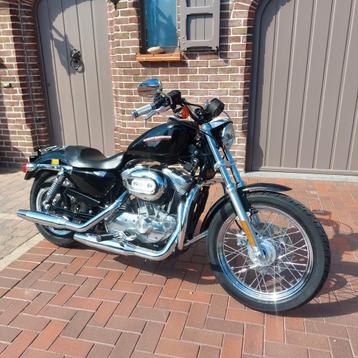Harley-Davidson sportster Vivid Black Met slechts 19.000 km  beschikbaar voor biedingen