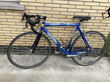 Pinarello - koersfiets - dames  beschikbaar voor biedingen