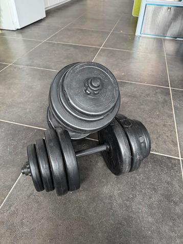 Dumbells halters beschikbaar voor biedingen