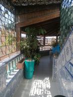Investeringsgebouw met 4 verdiepingen, garage, pergola op he, 400 m², Hoekwoning, 25 kamers