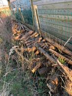 Brandhout gratis, Tuin en Terras, Ophalen