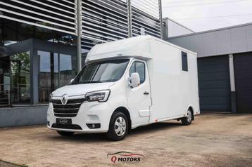 Renault Master Grand Comfort uitvoering op L3. Paardentraile disponible aux enchères