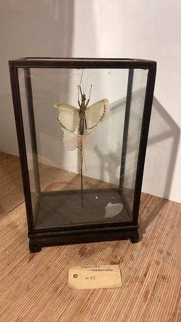 Stolp beschikbaar voor biedingen