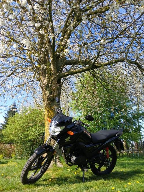 Honda cb125f 125cc 2025!!!, Motoren, Motoren | Honda, Particulier, Naked bike, 11 kW of minder, 1 cilinder, Ophalen