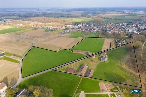 Opbrengsteigendom te koop in Dilsen-Stokkem, Immo, Huizen en Appartementen te koop, Vrijstaande woning, D