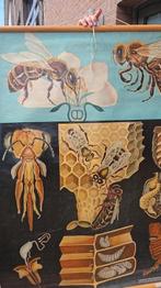 Schoolposters jaren 60 en 70, Ophalen, Gebruikt