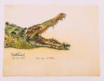 aquarelle crocodile, Ophalen of Verzenden