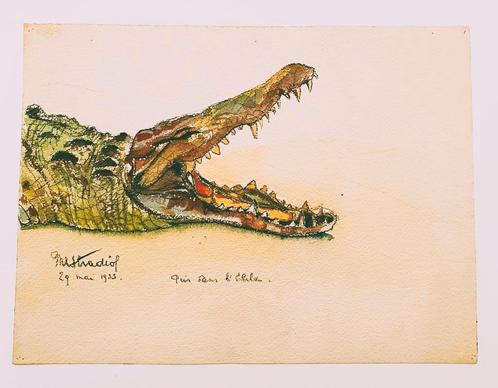 aquarelle crocodile, Antiquités & Art, Art | Peinture | Classique, Enlèvement ou Envoi