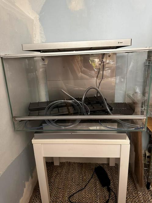 Biopod terrarium, Dieren en Toebehoren, Reptielen en Amfibieën | Toebehoren, Gebruikt, Ophalen