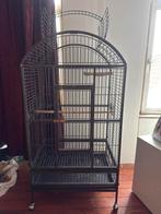 Goed onderhouden vogelkooi, Dieren en Toebehoren, Ophalen, Zo goed als nieuw, Vogelkooi