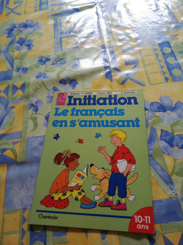 Le français en s'amusant. 5e primaire., Livres, Enlèvement ou Envoi, Comme neuf, Primaire, Français