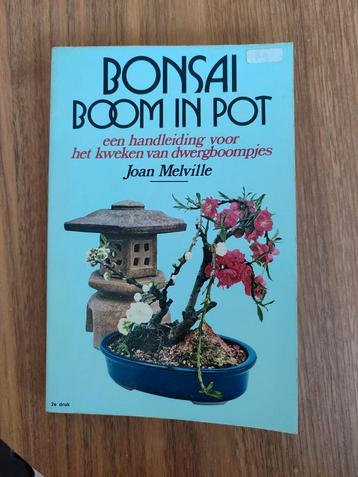 Boek bonsai boom in pot tuinieren planten  beschikbaar voor biedingen