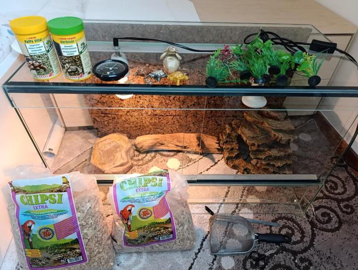 Volledige terrariumset voor landschildpad of reptiel, Dieren en Toebehoren, Reptielen en Amfibieën | Toebehoren, Zo goed als nieuw