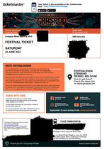 Graspop GMM saturday/zaterdag/samedi 22 june ticket, Tickets en Kaartjes