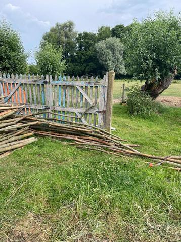 Wilgenhout beschikbaar voor biedingen