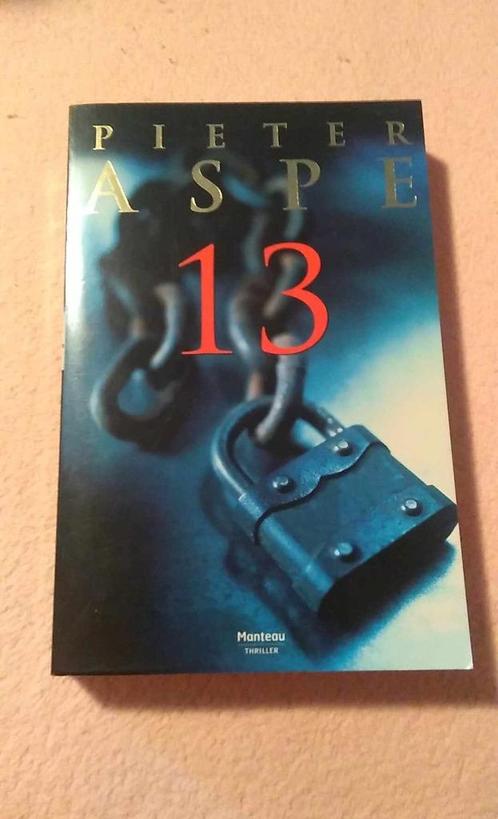 Pieter Aspe 13, Livres, Thrillers, Enlèvement ou Envoi