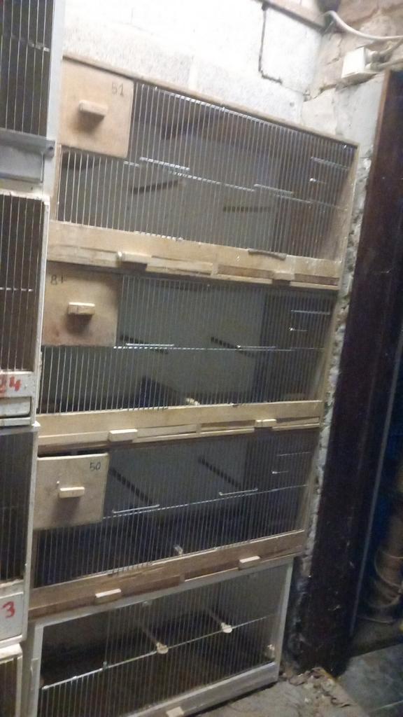 Kweekbakken parkieten/vogels, Dieren en Toebehoren, Vogels | Hokken en Kooien, Gebruikt, Broedkooi of Kweekkooi, Hout, Ophalen