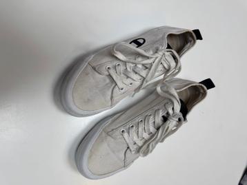 Witte sneaker man of vrouw beschikbaar voor biedingen