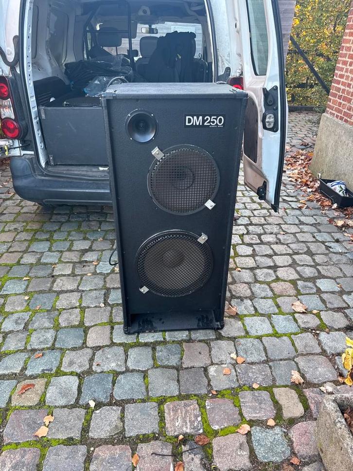 2x DM250 Passieve PA Speakers + Speakon Kabels, Muziek en Instrumenten, Versterkers | Keyboard, Monitor en PA, Zo goed als nieuw