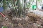 manueel verwijderen van tuinplanten, Tuin en Terras, Ophalen of Verzenden
