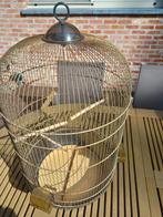 Vintage vogelkooi Ferplast, Animaux & Accessoires, Oiseaux | Cages & Volières, Enlèvement, Utilisé, Cage à oiseaux