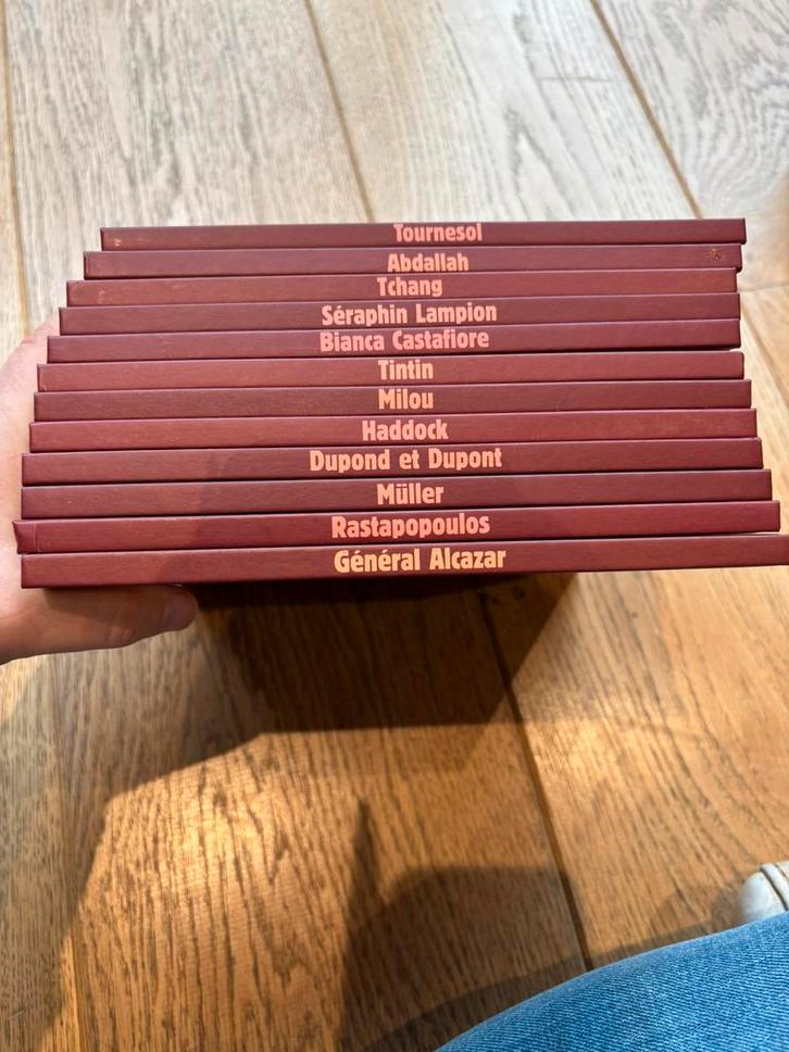 Les personnages de Tintin – Collection complète (12 volumes), Livres, Encyclopédies, Comme neuf, Général, Enlèvement ou Envoi