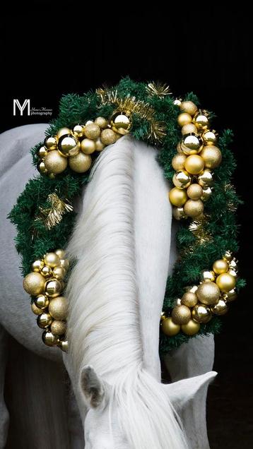 8 Kerstkransen te koop beschikbaar voor biedingen