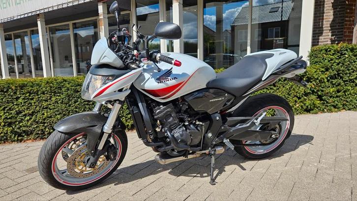 Honda CB600FA Hornet Custom Carbon/White, Motoren, Motoren | Honda, Particulier, Naked bike, meer dan 35 kW, 4 cilinders, Motorrijbewijs A