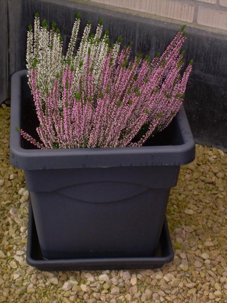 vierkante bloembak met onderzetschaal, Tuin en Terras, Bloembakken en Plantenbakken, Gebruikt, Kunststof, Binnen, Balkon, Tuin