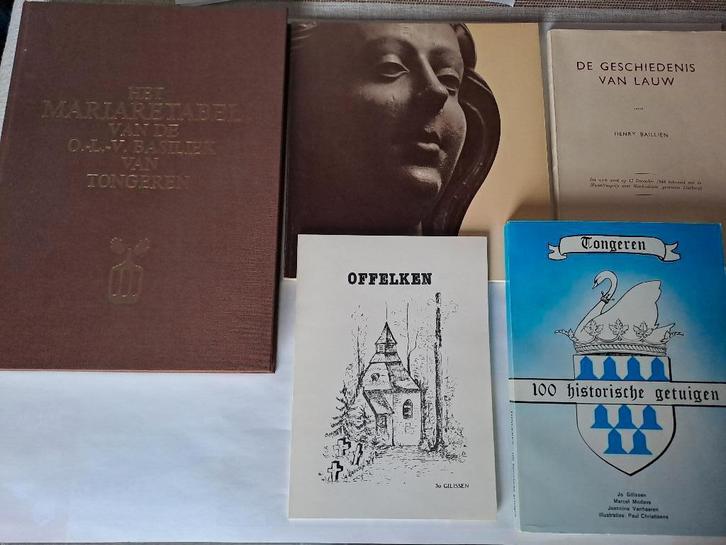 Tongeren, Lauw, Offelken, Livres, Histoire & Politique, Utilisé, 20e siècle ou après, Enlèvement ou Envoi