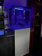 Blue marine 125l zeeaquarium, Dieren en Toebehoren, Ophalen, Zo goed als nieuw