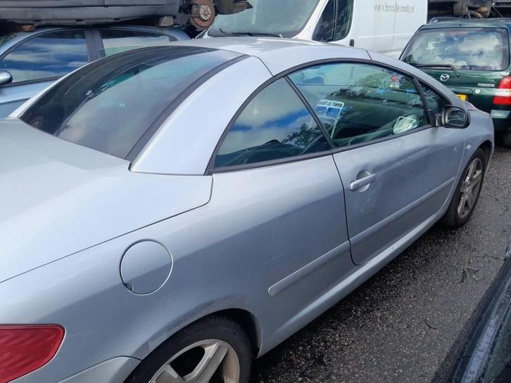 DIVERSEN Extra Ruit 2Deurs rechts-achte Peugeot 307 CC (3B), Auto-onderdelen, Overige Auto-onderdelen, Peugeot, Gebruikt